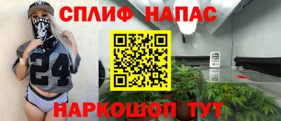 сатива Кандалакша