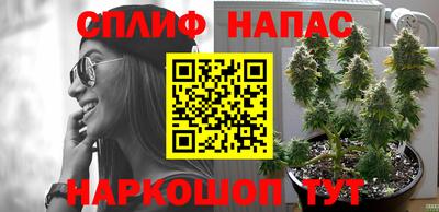 бошки Камышлов