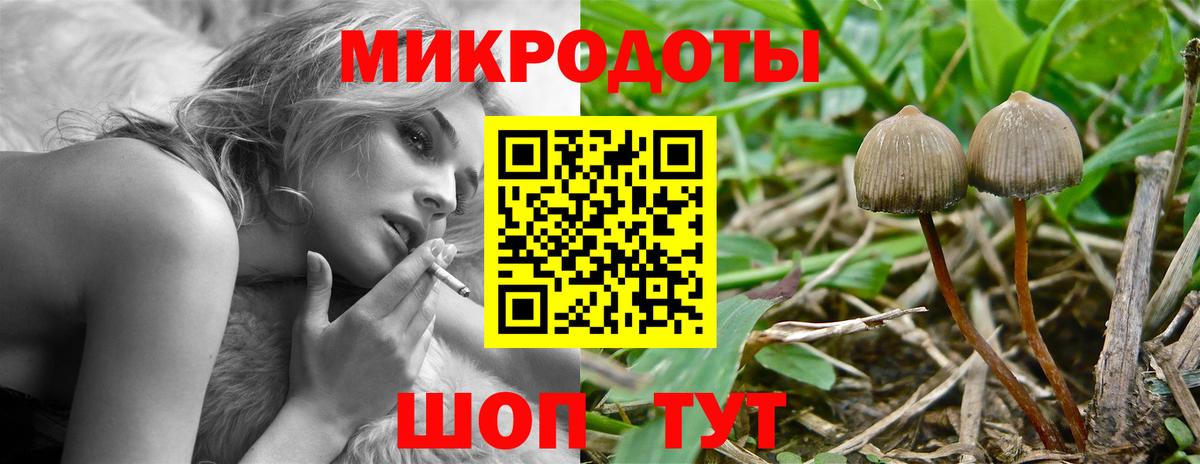 Псилоцибиновые грибы Magic Shrooms Кашира